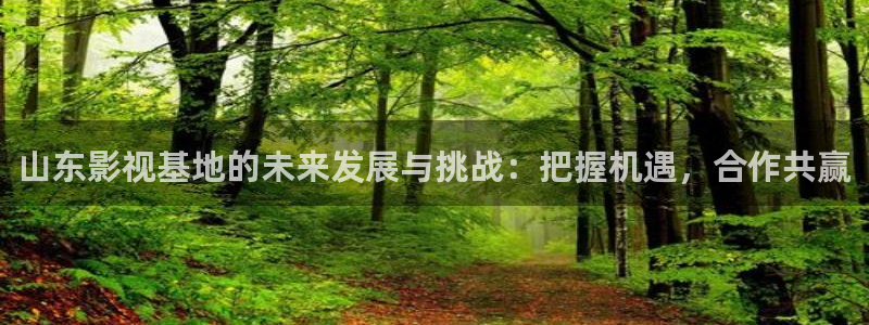黑螞蟻劇場免費流水迢迢電視劇全集：山東影視基地的未來發展與挑戰：把握機遇，合作共贏