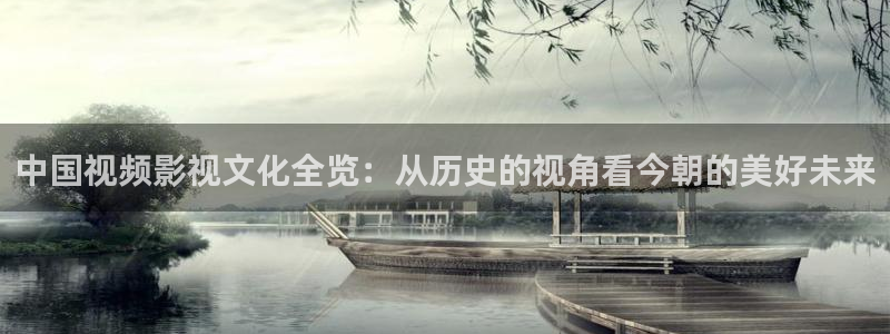 黑螞蟻影視劇官方入口：中國視頻影視文化全覽：從歷史的視角看今朝的美好未來